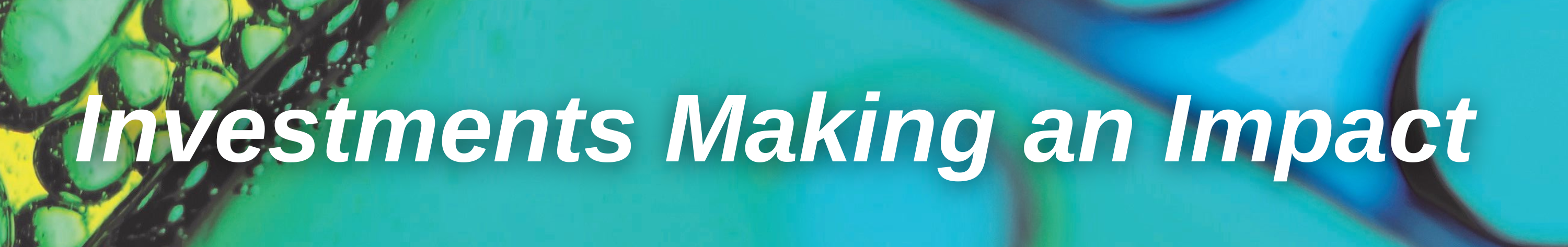 Investments Making an Impact Investments Making an Impact