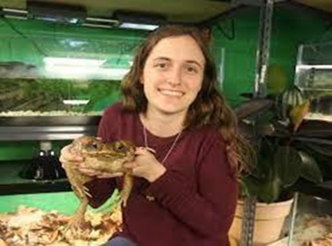 Dr. Alexis Noel Dr. Alexis Noel holding a toad
